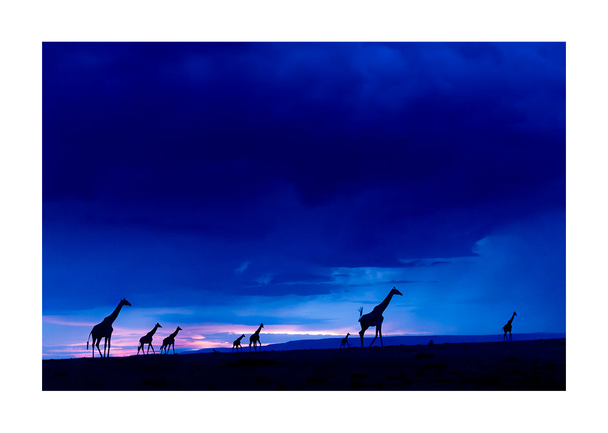 Night in Africa
