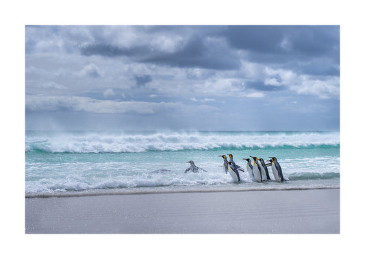 Sensation of freedom